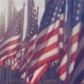 Rows of American flags wave in the sunlight, symbolizing patriotism and honoring veterans.