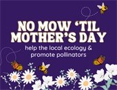 purple graphic with illustrations of butterflies and bees around flowers