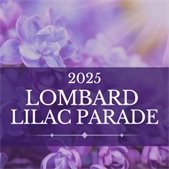graphic with lilacs in background and overlay text announcing 2025 Lilac Parade