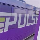 close up photo of the word Pulse on a purple pace bus