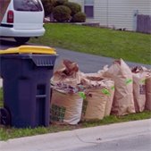Yard waste bags and a bin placed at the curb for collection.