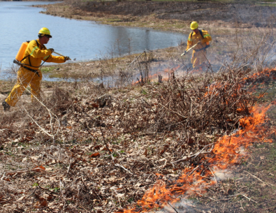 photo of controlled burn occurring next to pond and people in yellow protective suits