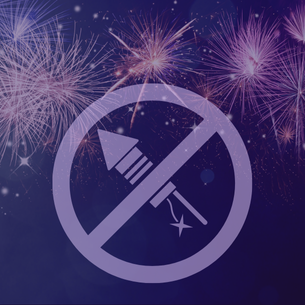 Fireworks in Sky with fireworks prohibited symbol